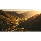 Blick von einer Anhöhe über die dicht bewaldeten Hügel der Region Schwäbische Alb
