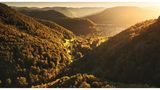 Blick von einer Anhöhe über die dicht bewaldeten Hügel der Region Schwäbische Alb