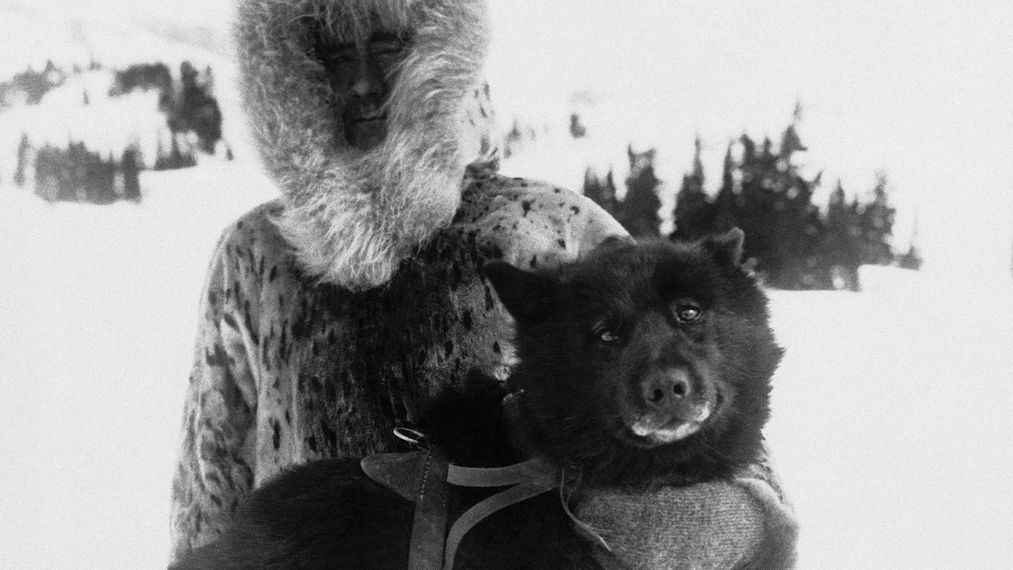 Vor 100 Jahren: Held auf vier Pfoten: Wie Schlittenhund "Balto" ein ganzes Dorf rettete