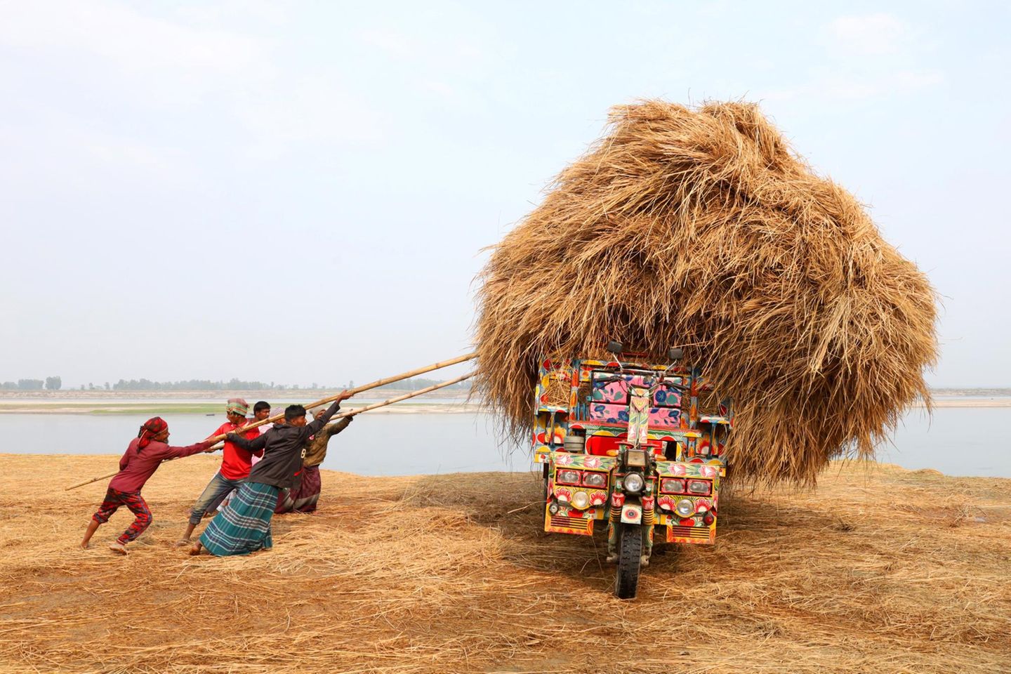 Reisernte in Bangladesh: Eine Gruppe von Arbeitern entlädt übrig gebliebenes Stroh von einem bunt bemalten Lastrad. Das Reisstroh ist ein Nebenprodukt der Landwirtschaft und dient den Bauern unter anderem als Viehfutter und Brennstoff.