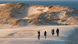 Menschen wanderen auf einer Düne in Richtung des Meeres
