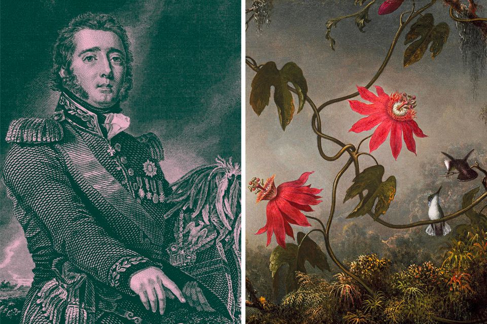 Illustration Gregor MacGregor 1.4989