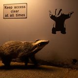 Ein Dachs streift an einer Einfahrt vorbei.