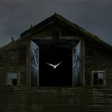 Eine Eule, die bei Nacht aus einem Weit geöffnetem Scheunenfenster fliegt.