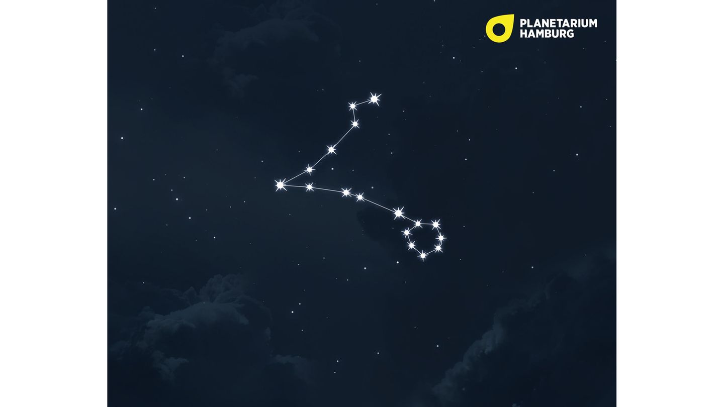 Das Sternbild Fische ist durchaus markant – und das, obwohl es aus nicht sehr hellen Sternen geformt werden. Besonders ist ihre Konstellation. Denn sie bilden zwei Linien, die sich an ihren Enden treffen, wobei wir am Ende der einen Linie einen hübschen Sternkreis erkennen. Um die Fische zu finden, schauen wir am besten am herbstlichen Abendhimmel zum auffälligen Sternenquadrat des Sternbilds Pegasus.