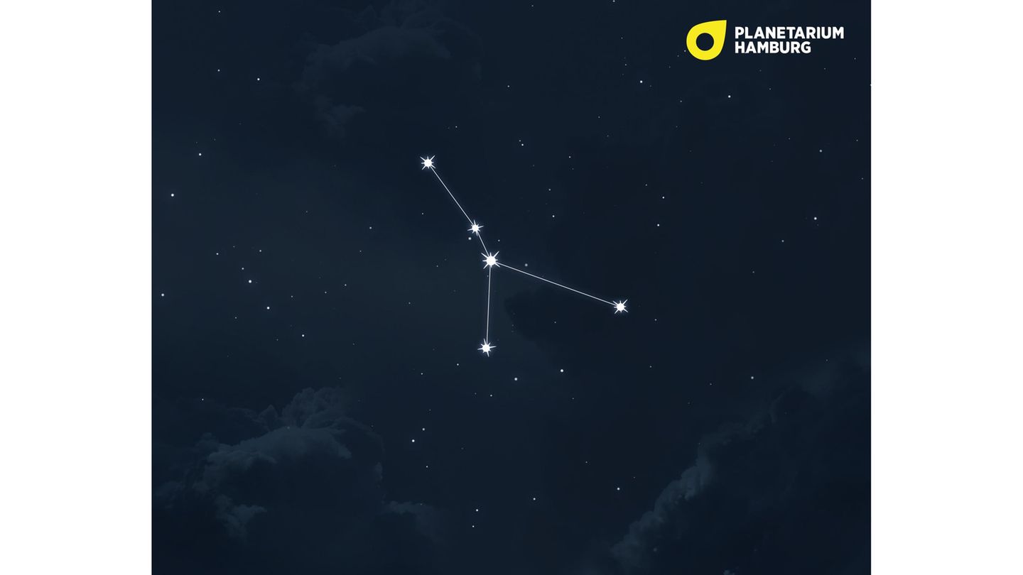 Der Krebs sieht aus, als wäre er eine Zwille oder ein umgekipptes Ypsilon. Die eher unscheinbare Formation aus lichtschwachen Sternen befindet sich zwischen den Zwillingen und dem Löwen am Frühlingshimmel.
