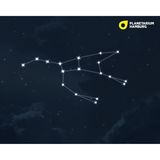 Die meisten von euch werden den Großen Bären kennen – aber unter einem anderen Namen. Denn das auffällige Sternbild besteht aus besonders hellen Sternen, deren Formation bei uns auch als Großer Wagen bekannt ist. Da der Große Bär „zirkumpolar“ ist, sich also nah am nördlichen Himmelspol befindet, geht er bei uns nie unter. Wir können ihn das ganze Jahr hindurch am Firmament sehen.