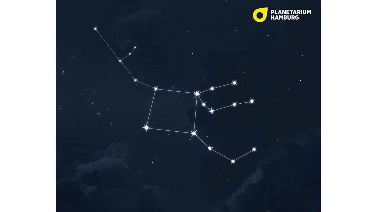 Okay, natürlich gibt es keine geflügelten Pferde. Aber dieses Fabelwesen darf bei den tierischen Sternbildern nicht fehlen: der Pegasus. Er grenzt unmittelbar an die funkelnde Sternenkette Andromeda. Gemeinsam bilden vier ihrer Sterne eine sehr auffällige Formation, die wir vor allem abends am Herbsthimmel sehen: das Herbstviereck, auch als Pegasusquadrat bekannt.