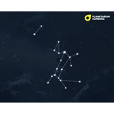 Großer und Kleiner Hund  Die hellsten Sterne der Sternbilder Großer und der Kleiner Hund gehören beide zum Wintersechseck. Der markanteste Stern des Großen Hundes ist Sirius. Es ist die hellste ferne Sonne an unserem Himmel. Wir finden Sirius, wenn wir die Gürtelsterne der funkelnden Formation Orion nach links unten verlängern – die ebenfalls am Wintersechseck beteiligt ist. Der markanteste Stern des Sternbilds Kleiner Hund ist Prokyon.