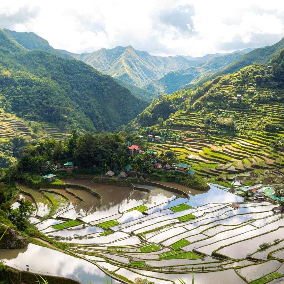 Reisbauterrassen von Ifugao