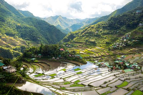 Reisbauterrassen von Ifugao