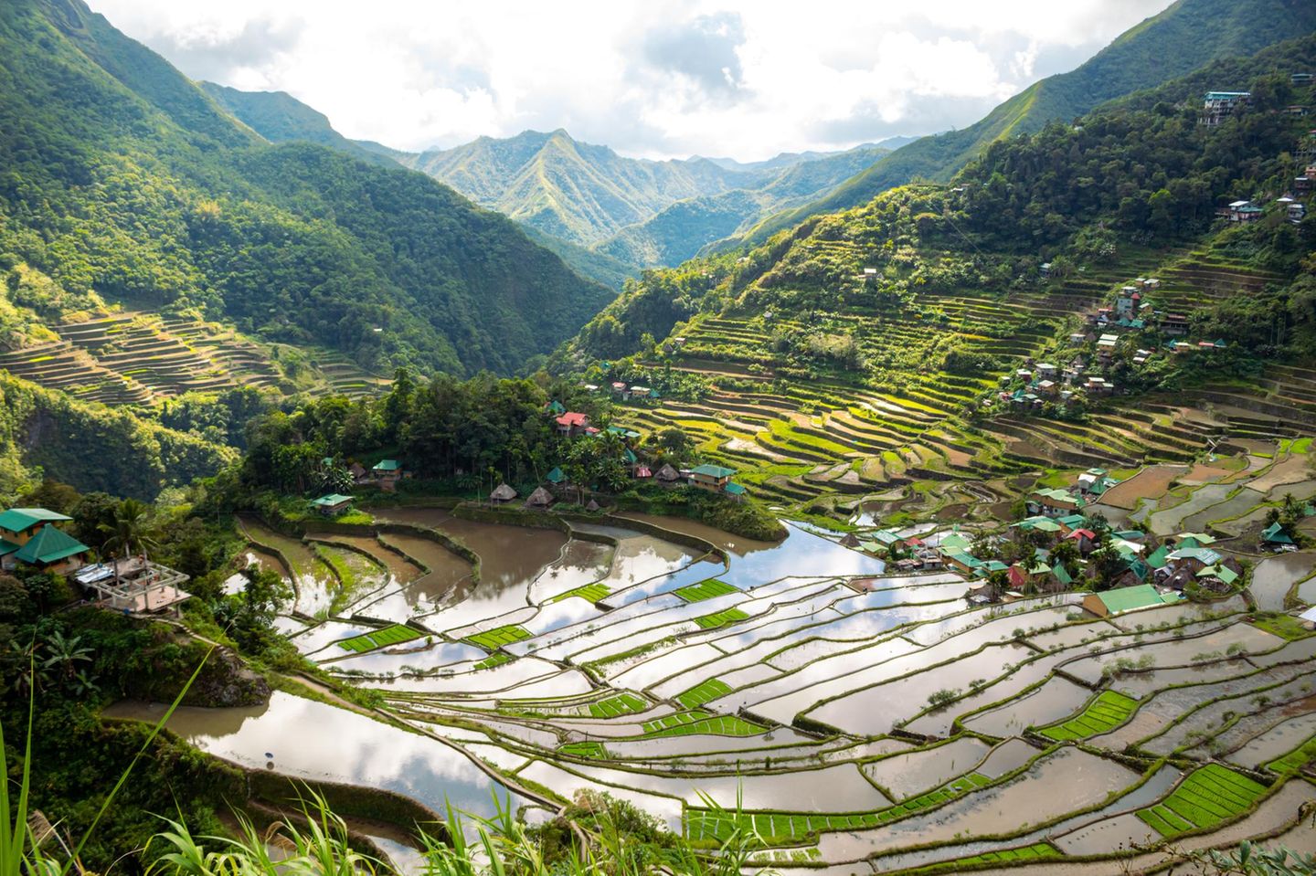 Reisbauterrassen von Ifugao