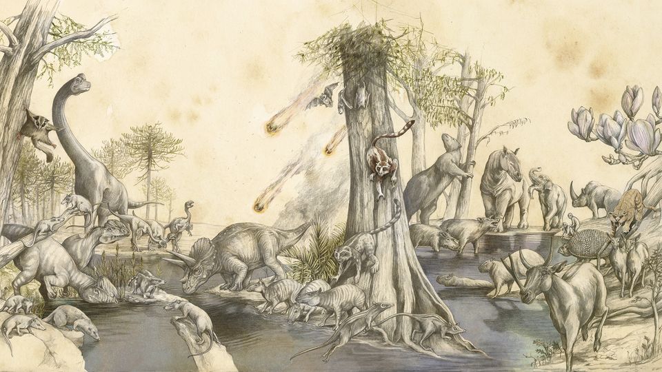 Urzeit: Die wahre Geschichte der Evolution: Wie Saurier und Säuger Seite an Seite lebten Urzeit: Die wahre Geschichte der Evolution: Wie Saurier und Säuger Seite an Seite lebten