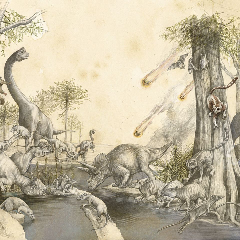 Urzeit: Die wahre Geschichte der Evolution: Wie Saurier und Säuger Seite an Seite lebten