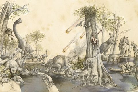 Urzeit: Die wahre Geschichte der Evolution: Wie Saurier und Säuger Seite an Seite lebten
