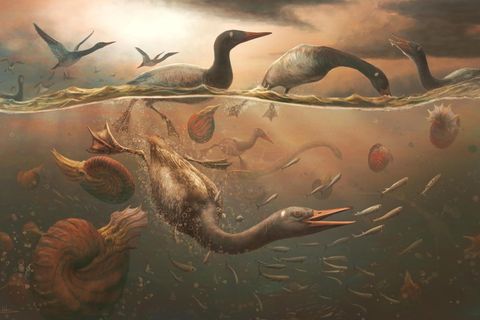 Eine künstlerische Darstellung von Vegavis iaai, einem Wasservogel aus der Oberkreidezeit