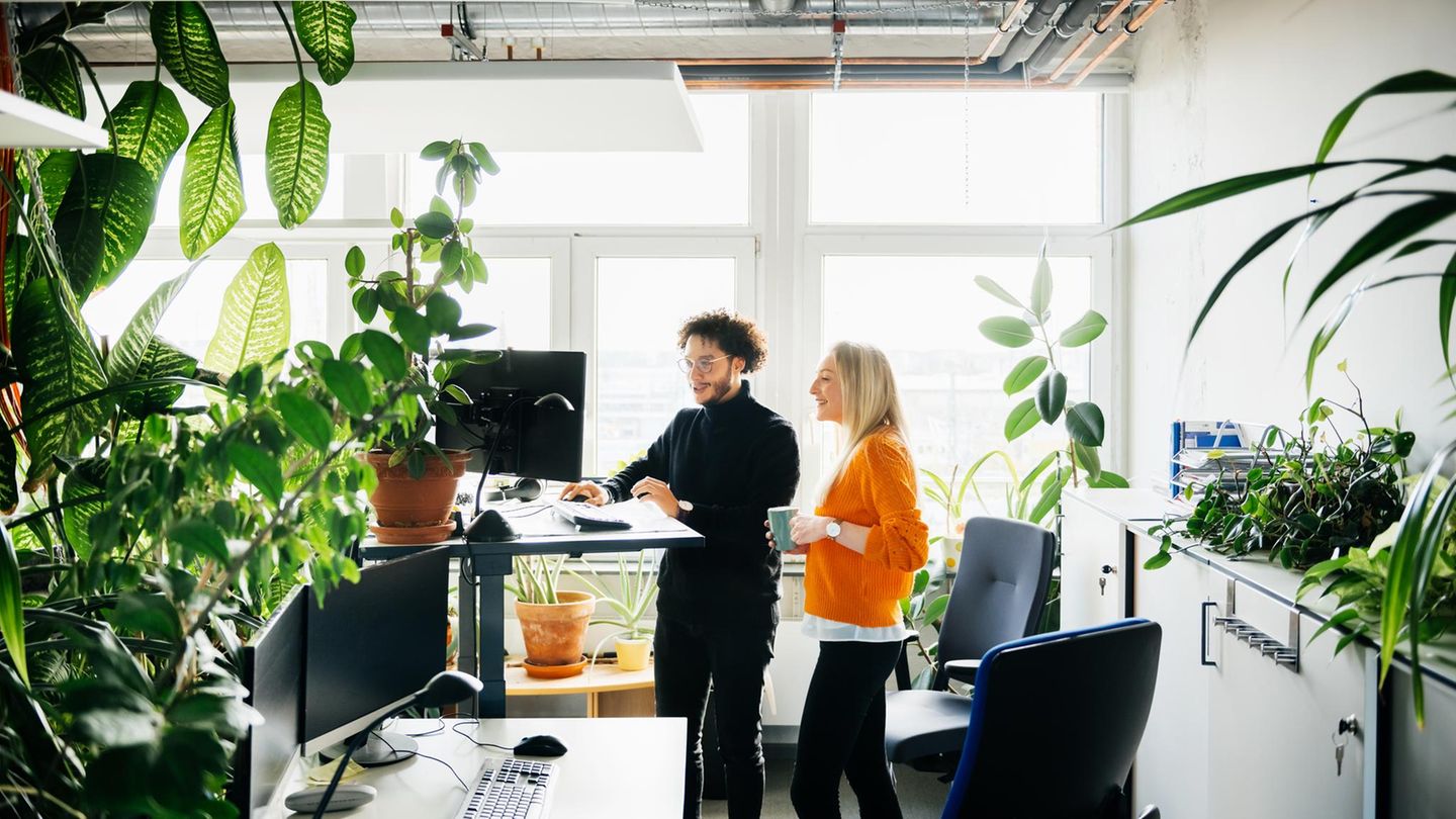 Wer auf die Ergonomie am Arbeitsplatz achtet, kann Nacken- oder Rückenschmerzen und weiteren Beschwerden vorbeugen