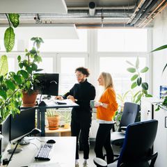 Wer auf die Ergonomie am Arbeitsplatz achtet, kann Nacken- oder Rückenschmerzen und weiteren Beschwerden vorbeugen