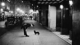 Hund am Hotel, London 1938