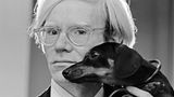 Andy Warhol und sein geliebter Dackel "Archie" im November 1973