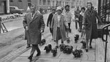 Dachshund Club in London, 1964