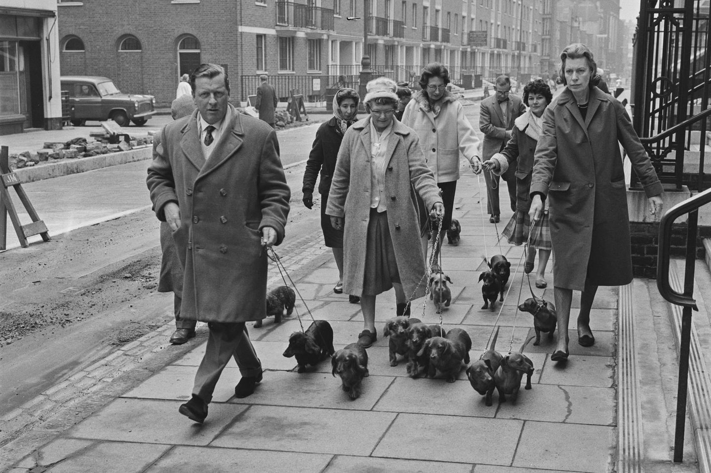 Star in Werbung und Marketing Dachshund Club in London, 1964