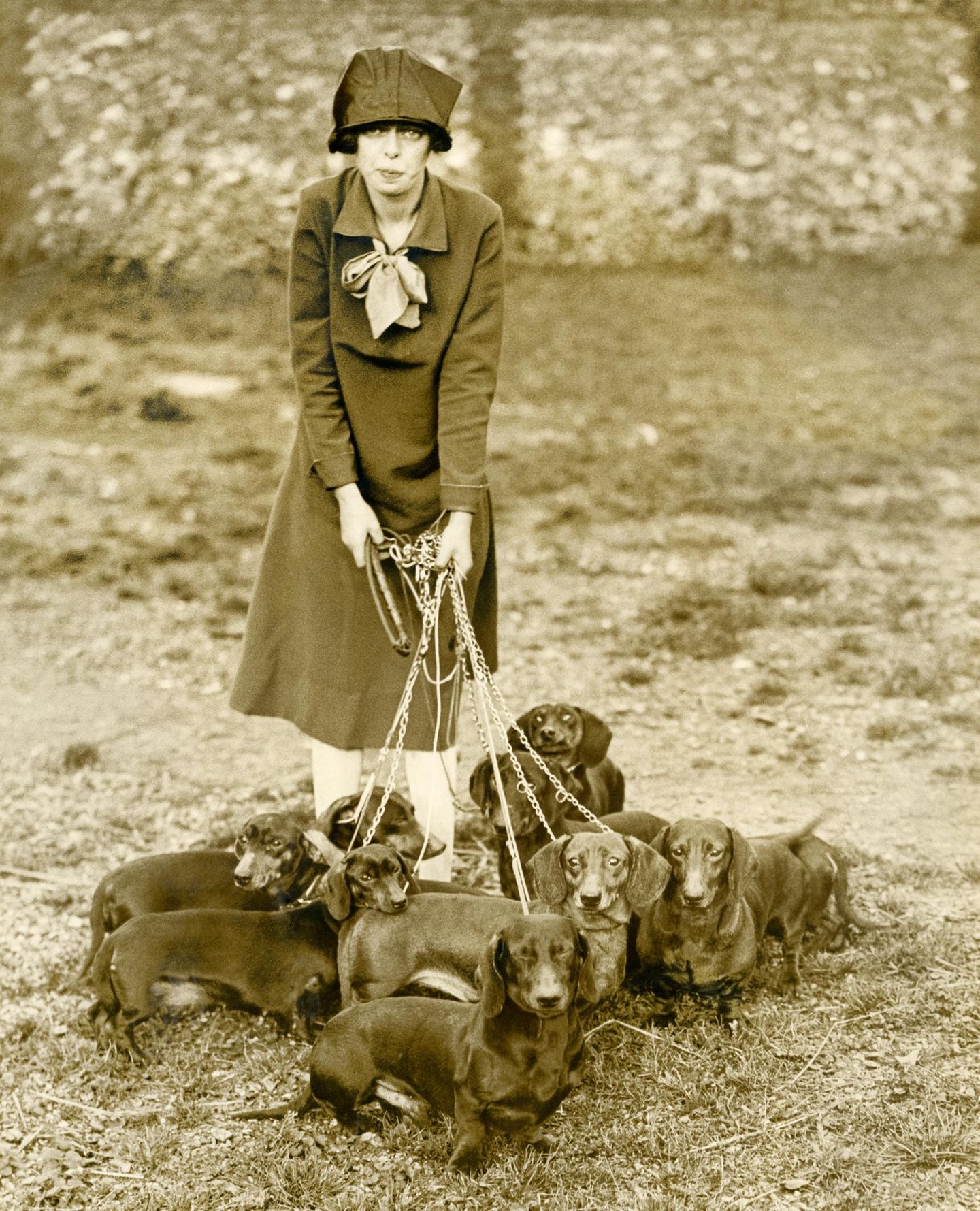 Spazieren als Beruf Dog Walkerin in den 1920er-Jahren