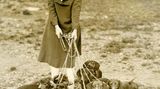 Dog Walkerin in den 1920er-Jahren