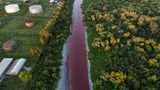Blutroter Sarandi-Fluss