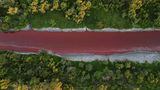 Roter Sarandi-Fluss