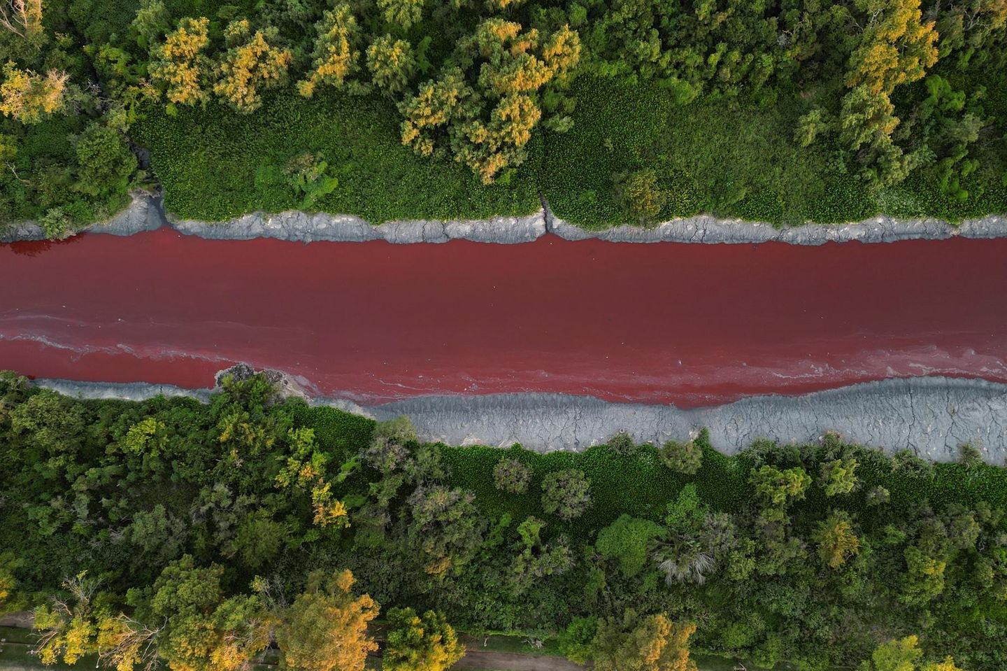 Roter Sarandi-Fluss