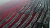 Roter Sarandri-Fluss