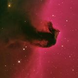 Nicht alle kosmischen Nebel leuchten von selbst. Vor einem hellen Hintergrund können sie sich als Dunkelwolke abzeichnen. Wie hier der 1500 Lichtjahre entfernte "Pferdekopfnebel", der sich schwarz vor dem roten Emissionsnebel IC 434 abhebt. Berühmt ist der Pferdekopfnebel unter anderem durch Aufnahmen der Weltraumteleskope Hubble und James Webb. Aber Bruno Mattern beweist, dass sich das Phänomen auch von der Erde aus beeindruckend fotografieren lässt.