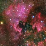 NGC 7000 gehört zu den Emissionsnebeln und wird aufgrund seiner Form auch als Nordamerikanebel bezeichnet. Seine gigantische diffuse Wolke besteht wie jeder Emissionsnebel zu großen Teilen aus ionisiertem Wasserstoff. Der Nordamerikanebel befindet sich bis zu 3000 Lichtjahre von der Erde entfernt und umfasst die Gesamtmasse von etwa 5000 Sonnen. Schon wer ein gutes Fernglas besitzt, kann ihn als diffuse Wolke östlich des Sterns Deneb im Sternbild Schwan am Himmel ausmachen. Seine magenta-rote Farbe mit Stich ins Pink offenbart er aber erst im Teleskop.
