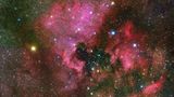 NGC 7000 gehört zu den Emissionsnebeln und wird aufgrund seiner Form auch als Nordamerikanebel bezeichnet. Seine gigantische diffuse Wolke besteht wie jeder Emissionsnebel zu großen Teilen aus ionisiertem Wasserstoff. Der Nordamerikanebel befindet sich bis zu 3000 Lichtjahre von der Erde entfernt und umfasst die Gesamtmasse von etwa 5000 Sonnen. Schon wer ein gutes Fernglas besitzt, kann ihn als diffuse Wolke östlich des Sterns Deneb im Sternbild Schwan am Himmel ausmachen. Seine magenta-rote Farbe mit Stich ins Pink offenbart er aber erst im Teleskop.