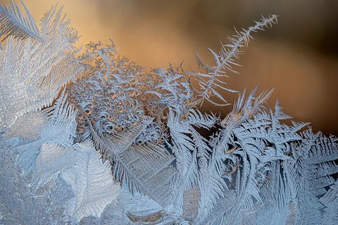 Eisblumen an der Fensterscheibe