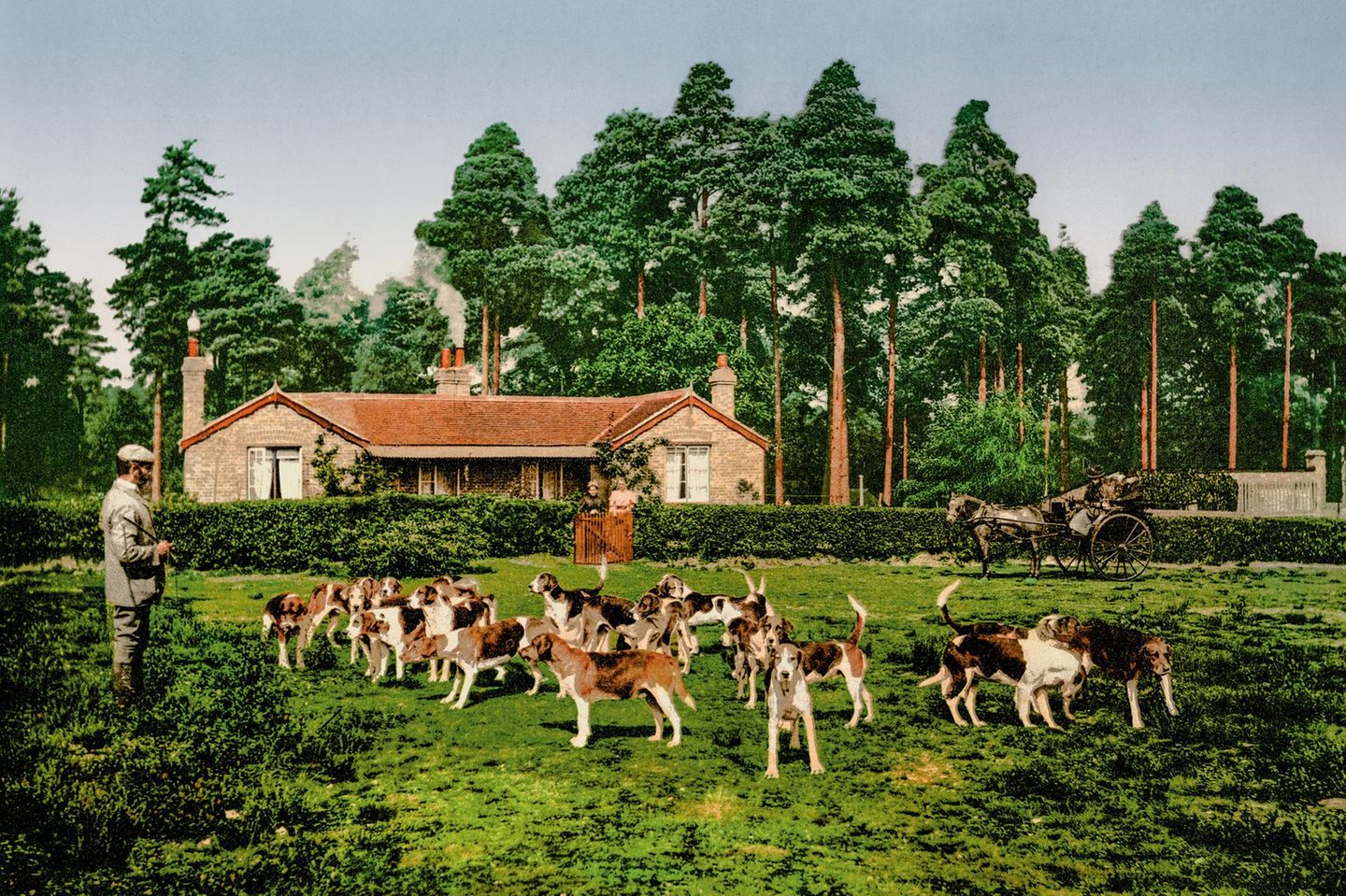 Eine Gruppe Jagdhunde des Army Staff College in Camberley, England Photochrome sind keine Farbfotos, wie wir sie heute kennen. Es handelt sich um nachträglich kolorierte Fotos, die beispielsweise als Souvenir unter Urlaubern beliebt waren. Denn während persönliche Reisefotografie dank der 1888 entwickelten Kodak-Kamera bereits möglich war, gab es dennoch weiterhin die Nachfrage nach kommerziell hergestellten Fotografien. Beliebt waren beispielsweise Bilder von britischen Touristenattraktionen, die dann neben schwarz-weißen Fotos im Familienalbum ihren Platz fanden. Da die kommerziellen Photochrome die Welt für ihre zeitgenössischen Betrachter in lebhaften und naturgetreuen Farben abbildeten, entwickelte sich das Konzept um 1900 schnell zum Verkaufsschlager.