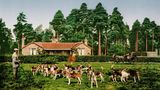 Photochrome sind keine Farbfotos, wie wir sie heute kennen. Es handelt sich um nachträglich kolorierte Fotos, die beispielsweise als Souvenir unter Urlaubern beliebt waren. Denn während persönliche Reisefotografie dank der 1888 entwickelten Kodak-Kamera bereits möglich war, gab es dennoch weiterhin die Nachfrage nach kommerziell hergestellten Fotografien. Beliebt waren beispielsweise Bilder von britischen Touristenattraktionen, die dann neben schwarz-weißen Fotos im Familienalbum ihren Platz fanden. Da die kommerziellen Photochrome die Welt für ihre zeitgenössischen Betrachter in lebhaften und naturgetreuen Farben abbildeten, entwickelte sich das Konzept um 1900 schnell zum Verkaufsschlager. 