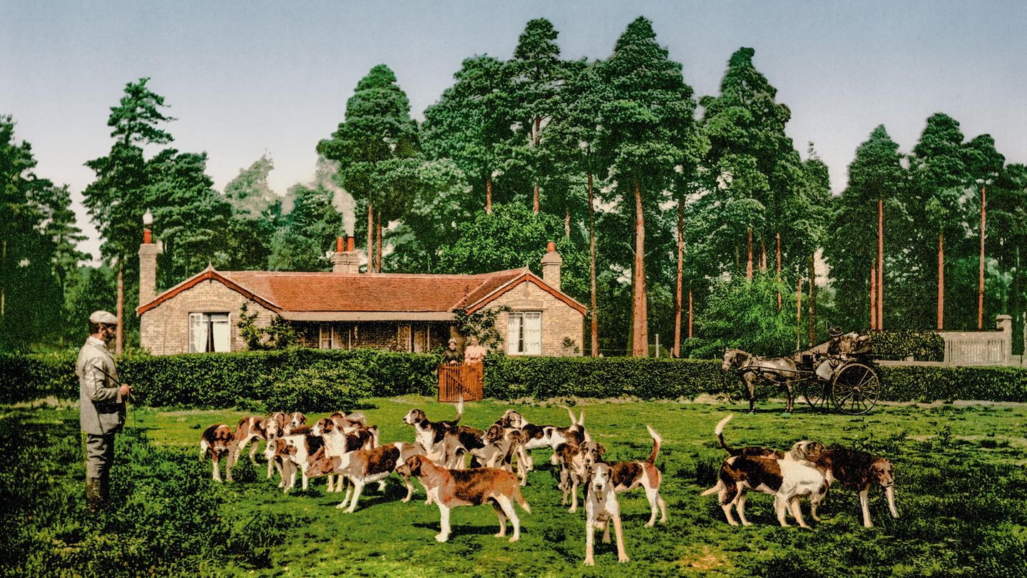 Eine Gruppe Jagdhunde des Army Staff College in Camberley, England Photochrome sind keine Farbfotos, wie wir sie heute kennen. Es handelt sich um nachträglich kolorierte Fotos, die beispielsweise als Souvenir unter Urlaubern beliebt waren. Denn während persönliche Reisefotografie dank der 1888 entwickelten Kodak-Kamera bereits möglich war, gab es dennoch weiterhin die Nachfrage nach kommerziell hergestellten Fotografien. Beliebt waren beispielsweise Bilder von britischen Touristenattraktionen, die dann neben schwarz-weißen Fotos im Familienalbum ihren Platz fanden. Da die kommerziellen Photochrome die Welt für ihre zeitgenössischen Betrachter in lebhaften und naturgetreuen Farben abbildeten, entwickelte sich das Konzept um 1900 schnell zum Verkaufsschlager.