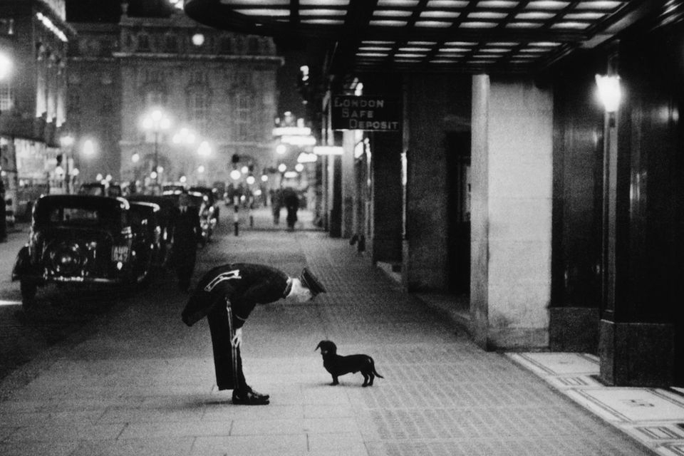 Commissionaire's Dog A hotel commissionaire talking to a small dachshund dog in Piccadilly Circus, London. Original Publication: Picture Post - 2 - In The Heart of the Empire - pub. 1938  1.467