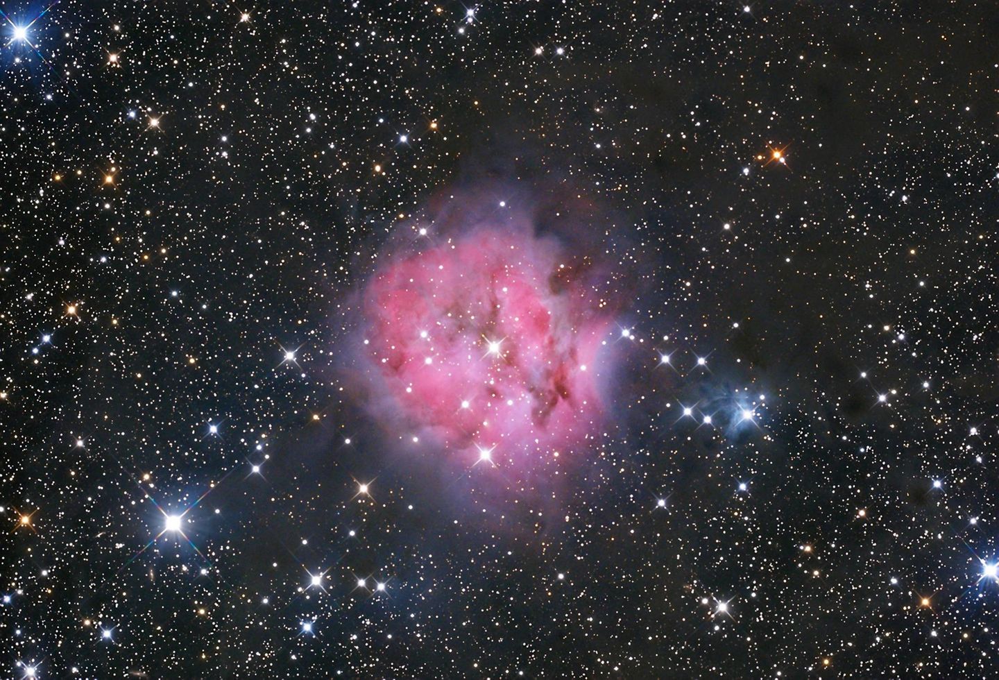 Der Kokonnebel IC 5146 befindet sich im Sternbild Schwan. Er ist rund 2500 Lichtjahre von der Erde entfernt und beheimatet den offenen Sternhaufen Collinder 470. Dieser besteht aus äußerst jungen Sternen, die nur einige hunderttausend Jahre alt sind. Sie sind es, die das Leuchten der interstellaren kosmischen Wolke verursachen. Das hier gezeigte Bild von Bruno Mattern hatte eine Gesamtaufnahmezeit von 50 Stunden.   