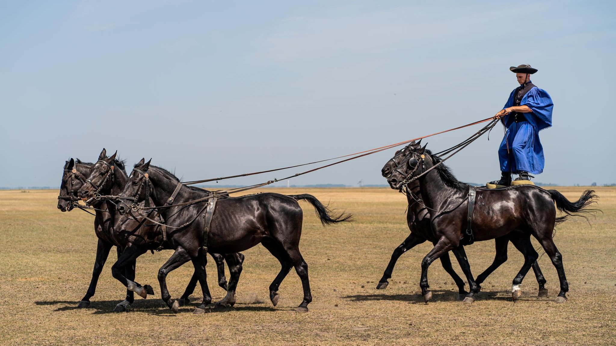 Reiter steht auf zwei Pferden und führt drei Pferde vor sich Reiter steht auf zwei Pferden und führt drei Pferde vor sich