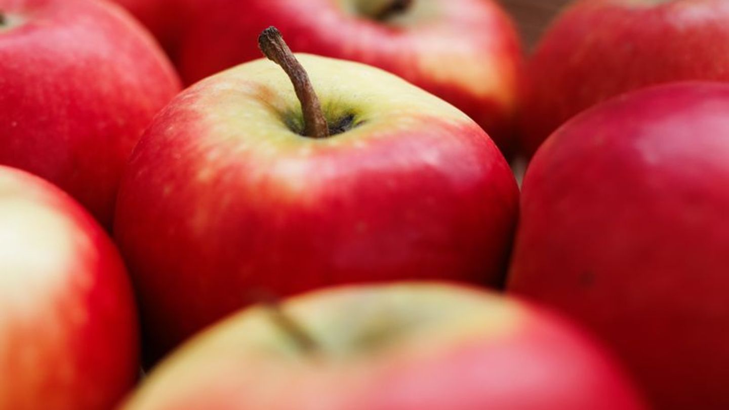 Gesundheit Apfel für Allergiker soll im Herbst in Supermärkte kommen