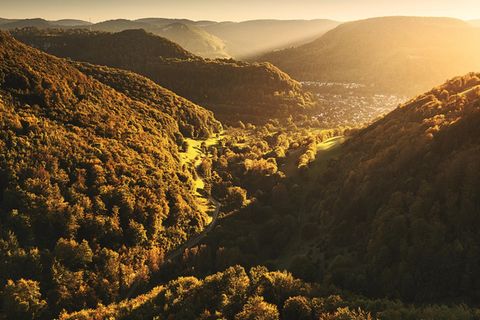 Blick von einer Anhöhe über die dicht bewaldeten Hügel der Region Schwäbische Alb