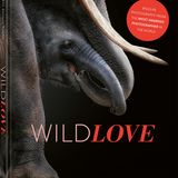 Buchcover WildLOVE