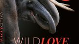 Buchcover WildLOVE
