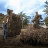 2 Personen beim Heuwenden