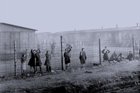 Holocaust: Der vergessene Widerstand: Wie Juden gegen das NS-Regime kämpften
