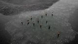 Eine große Menge Vögel stehen im Wasser
