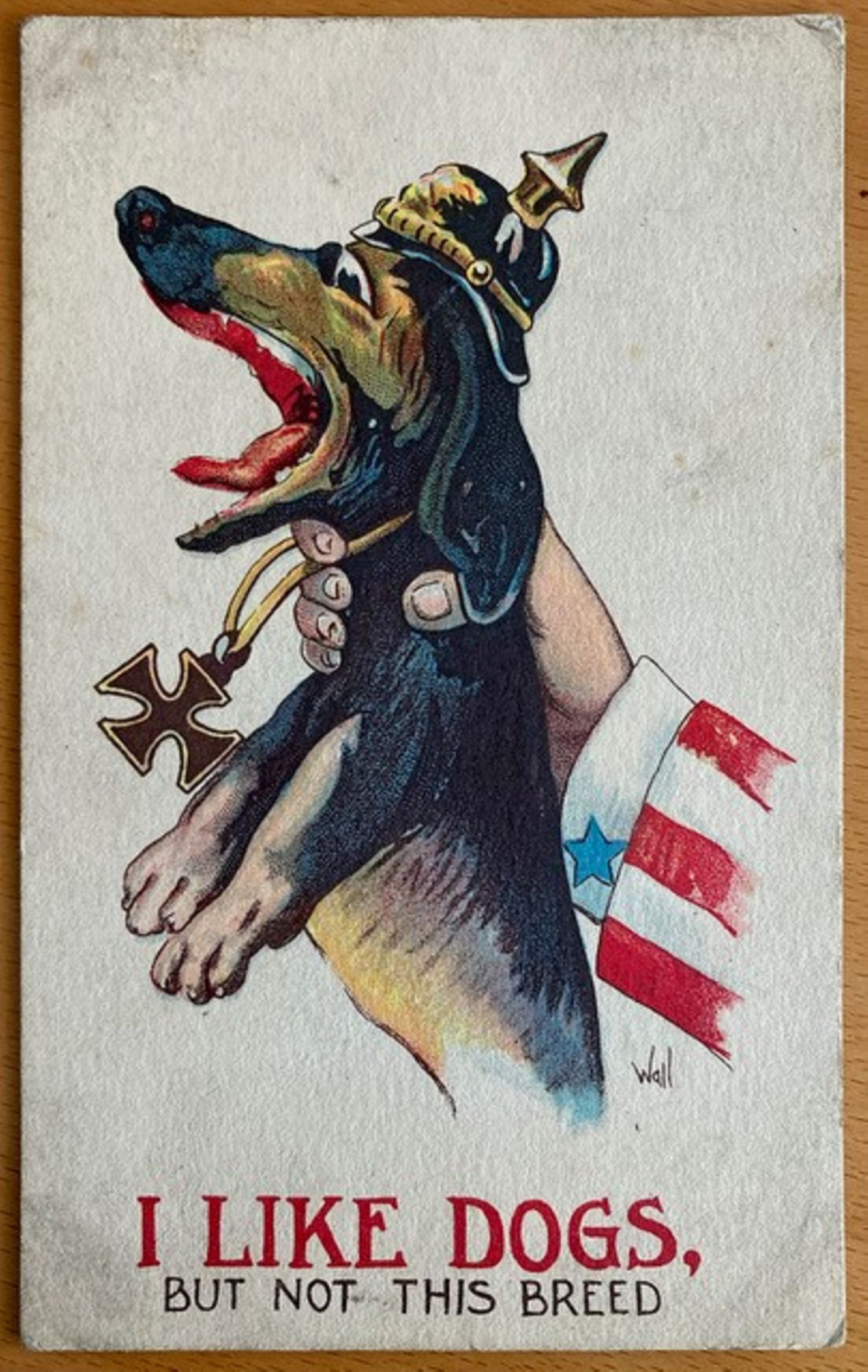 Dackel in der Propaganda Dackel auf Postkarte